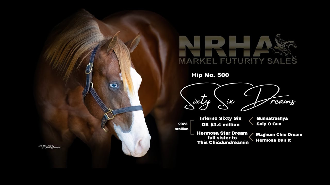 Sixty Six Dreams hip no. 500 NRHA Futurity sale YouTube