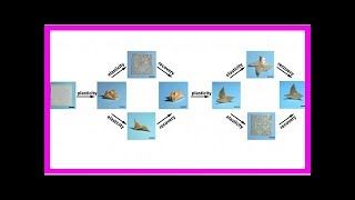 New material can fold itself into hundreds of shapes