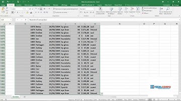 Comment filtrer les données dans Excel en 05 minutes chrono