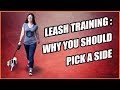 Why You Should Walk on One Side - Leash Training a Dog