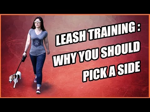 Why You Should Walk on One Side - Leash Training a Dog