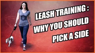 Why You Should Walk on One Side  Leash Training a Dog