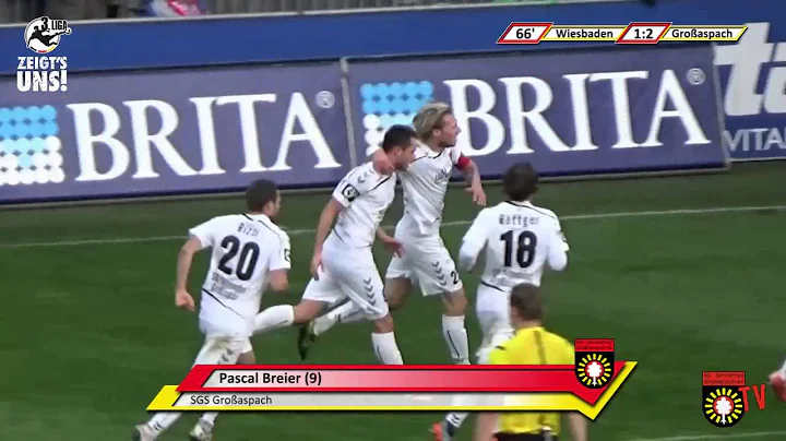 18. Spieltag: SV Wehen Wiesbaden vs. SG Sonnenhof Großaspach - Das Spiel