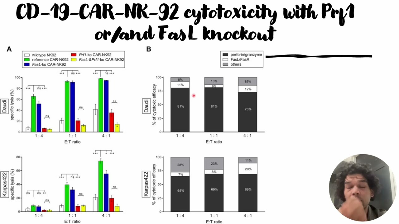 CD-19-CAR-NK-92 cytotoxicity with Prf1 and/or FasL knockout #Code
