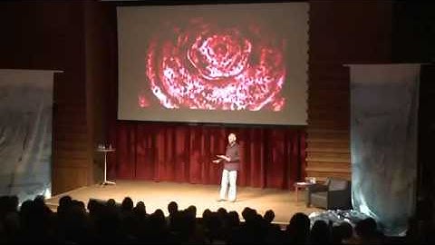 TEDxCharlotte 2010   Randy Powell   Vortex Based Mathematics flv