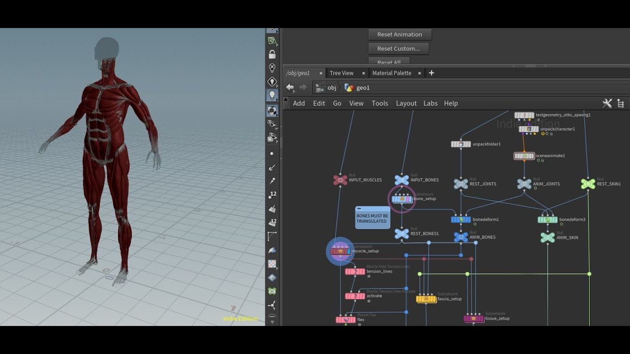 How to Very Quickly Create a Full Skeletal and Muscle System for Your Character