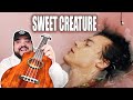 SWEET CREATURE - HARRY STYLES | Ukulele Cover & Play Along with Chords