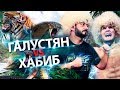 Галустян бросает вызов Хабибу. Weekend и тренировка с Михаилом Галустяном в Тайланде.