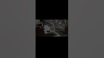 اكتب شئ تؤجر عليه #سورة_النمل #ياسر_الدوسري