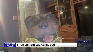 Watch Triumph The Insult Comic Dog Who video