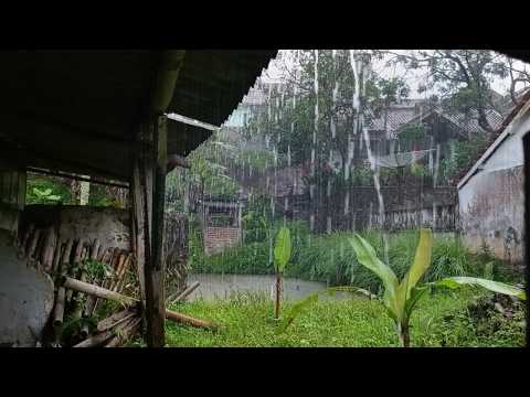 استرخ من جديد مع مطر غزير أصوات طبيعية ت عالج إرهاق الحياة اليومية مع مطر ASMR