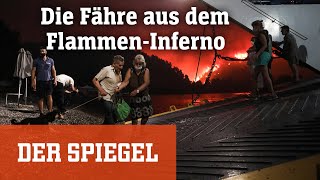 Brände in Griechenland: Verzweifelte Flucht vor den Flammen | DER SPIEGEL