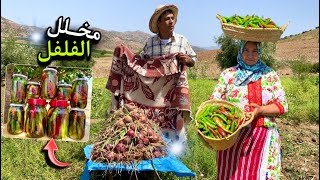 جني الفلفل الحار و تخليله بسهولة و جمع محصول البصل الصيفي من المزرعة