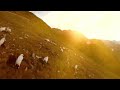 Kurdish Ai Cover Project Lo Lo Pismamo V1 
