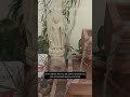 Mesmerizing Stone Water Feature with Divine Buddha Sculpture #homedecor #zendecor #fountain
