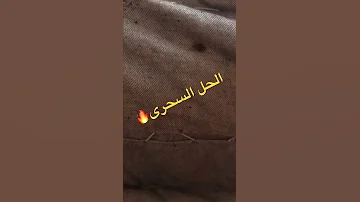 الحل السحرى للقضاء على البق فى ثواني جربها و مش ماتندم 