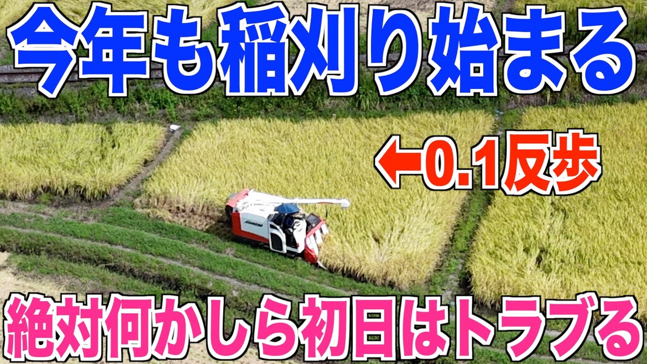 【稲刈り初日】絶対トラブルあるある 0.1反歩の田んぼも稲刈り 40代米作り奮闘記#579
