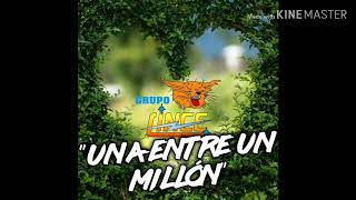 Grupo Lince_Una entre un millón (Audio Estudio)