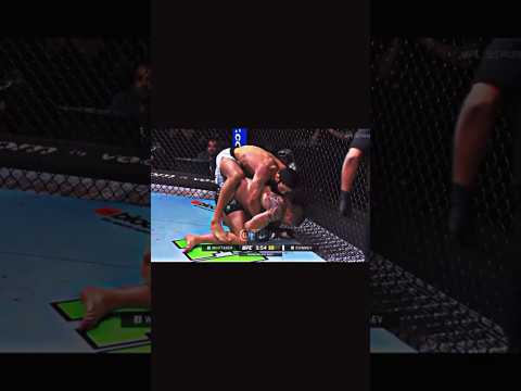 UFC 308: Robert