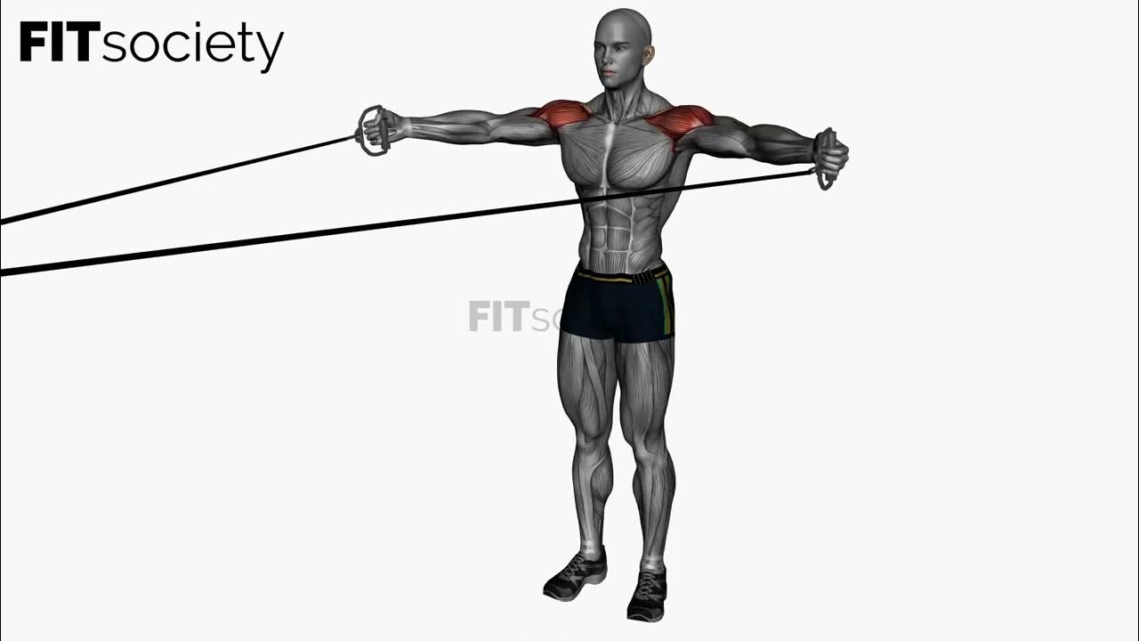 Rear Deltoid Fly Cable Resistance Band Exercise Fitness Oefening