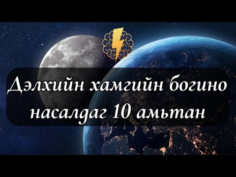 Видео: Бүх зүйлээс бага зэрэг: шумуул хэр удаан амьдардаг вэ?