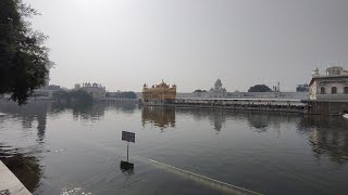 Golden Temple Amritsar Punjab #amritsar #punjab 