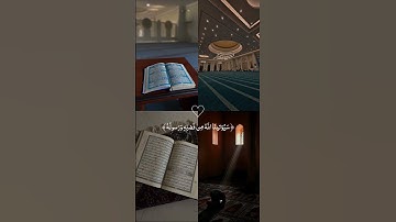 اكتب شئ تؤجر عليه 💚 #قرآن_كريم #تلاوات_خاشعة #أرح_سمعك_وقلبك #ماهر_المعيقلي #اكسبلور