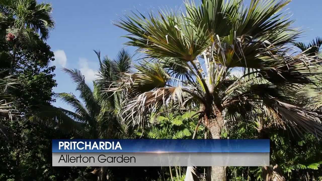 National Tropical Botanical Garden