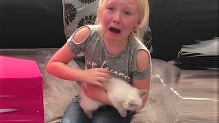 People Get Surprised With Kittens On Christmas - Wholesome Kitten Surprise