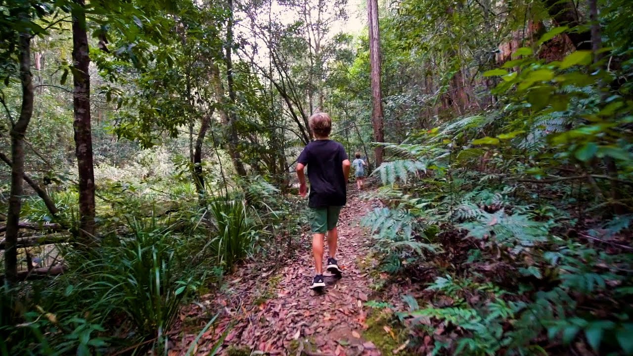 Find adventure in NSW State forests!