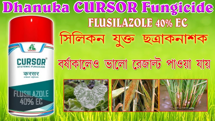 Jinsiy olatni birinchi marta koradi