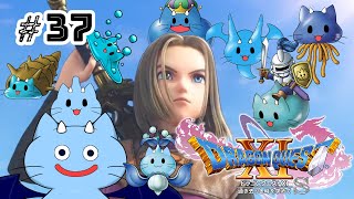 【DQ11s】いままでのDQシリーズ全部挫折してきたドラネコがクリア目指す物語 #37