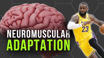 The Science of Training Your Nervous System: What Every Advanced Coach Should Know