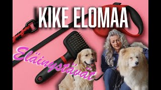 Kike Elomaa: Eläinten hyvinvointi on tärkeää perussuomalaisille