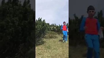Dove sono gli orsi in Trentino Alto Adige?