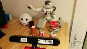 Nao recognizing objects with ORK Linemod