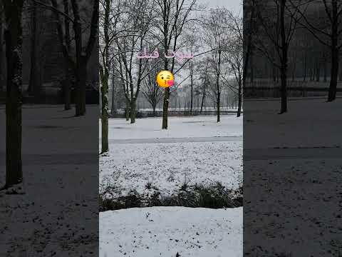 بيكفي شو بدك يعني موت فيك فيروزيات و شتاء