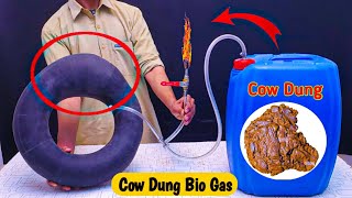 How to make BIO Gas from Cow Dung . #biogás