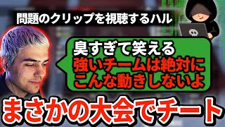 まさかの大会にチーターが出現！あからさますぎてハルもつい吹き出してしまう【APEX翻訳】