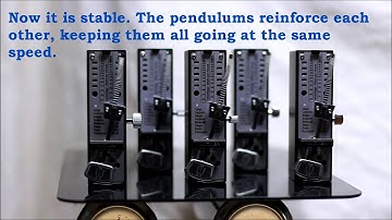 Entrainment for A Matter of Time: The science of rhythm and the groove