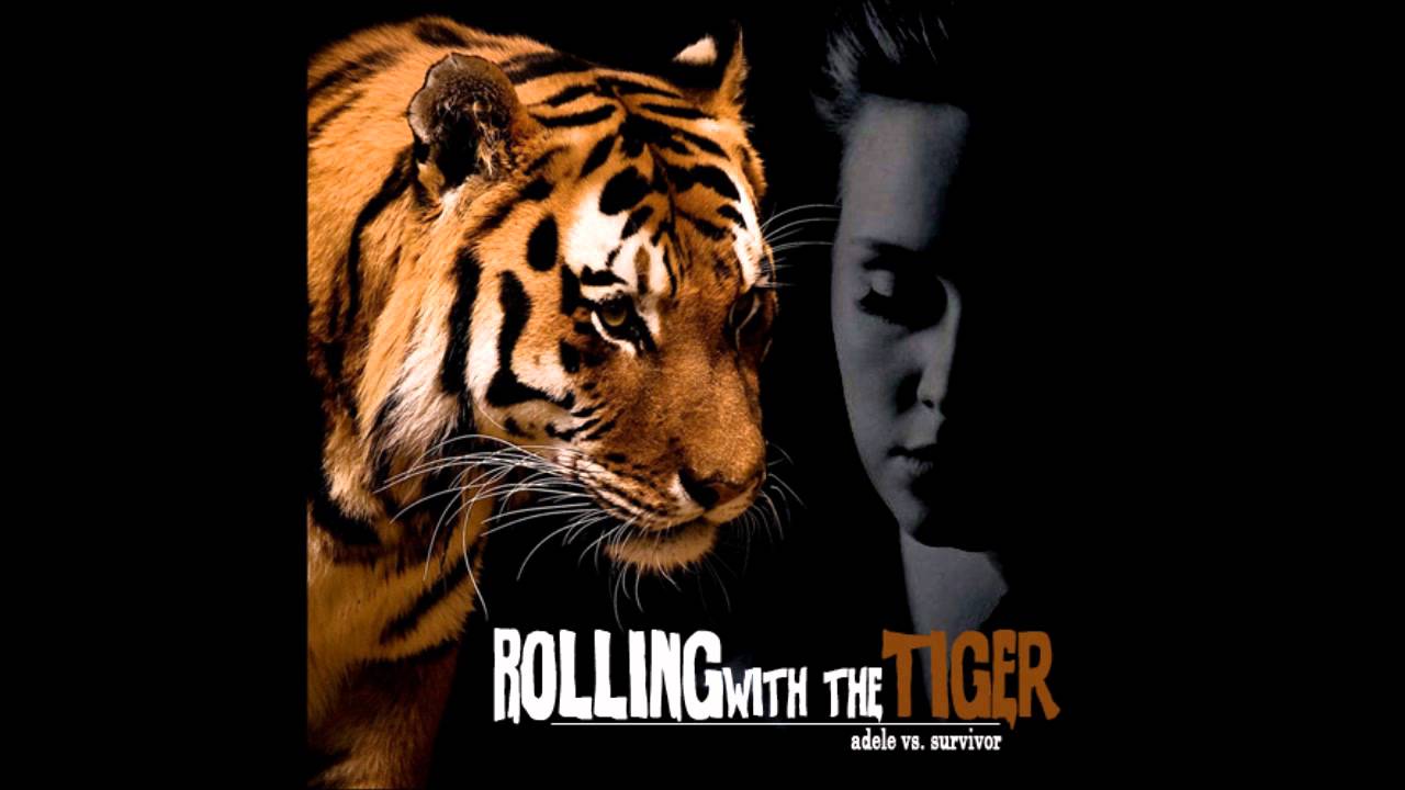 Rolling with the Tiger (Survivor vs. Adele)