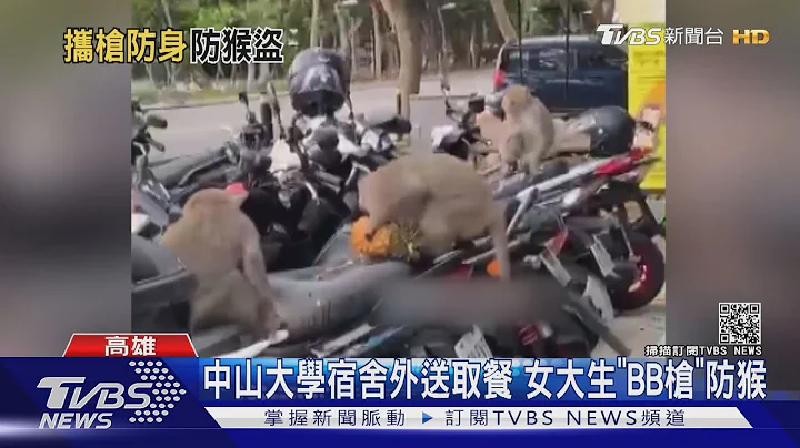 中山大學的日常？女大生宿舍門口持BB槍 防獼猴搶食物｜TVBS新聞 - 天天要聞