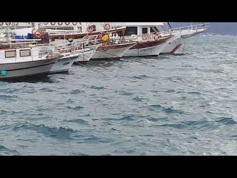 Зимнее море.