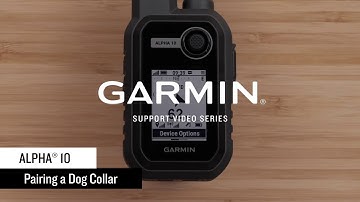 Support: Pairing a Collar with an Alpha® 10