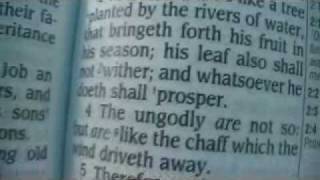 Psalm 1 King James Holy Bible