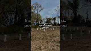 The Mass Graves of Potter's field, Hart Island #history