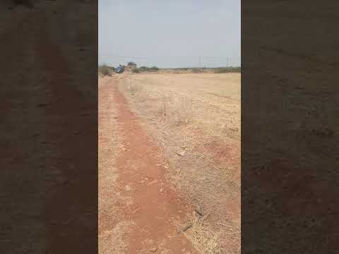 2 هكتارات في آيت ولال داخلين 2 تمن 50مليون همزة 0625143471