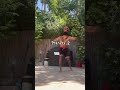 3 Crazy Things I Did That Didn T Get Enough Views The Last One Is Exaggerated 3 Crazy Things I Did That Didn T Get Enough Views The Last One Is Exaggerated