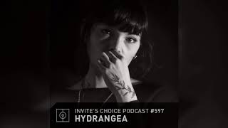 Invites Choice Podcast 597 - Hydrangea