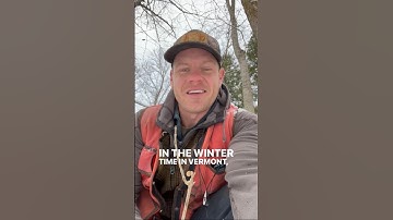 How can you tell if deer browse is having a negative impact on your forest? #deer #wildlife #forests